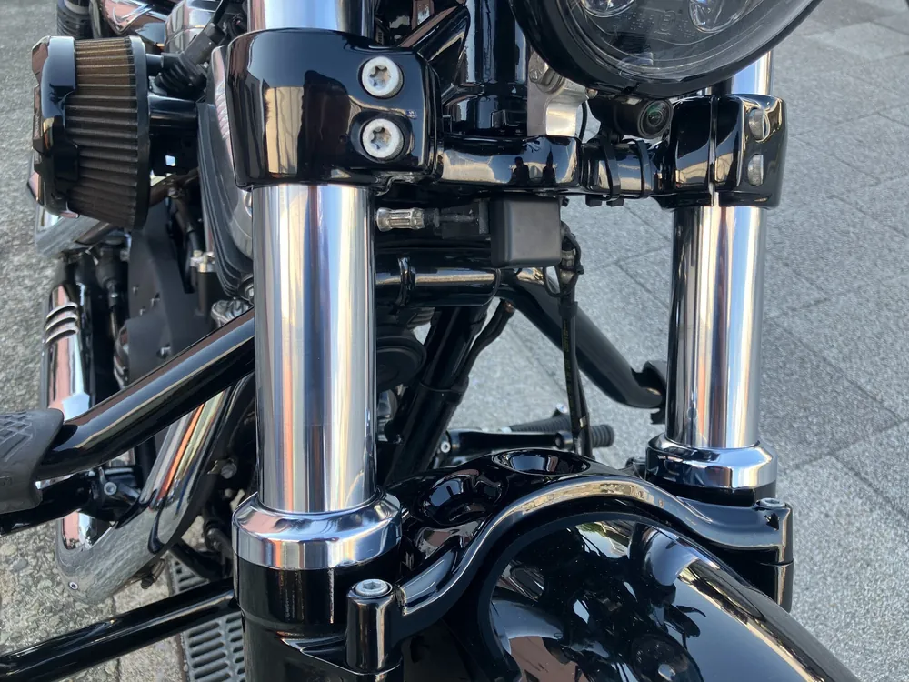 Harley-Davidson XL1200X 2021, light brown, фото 7