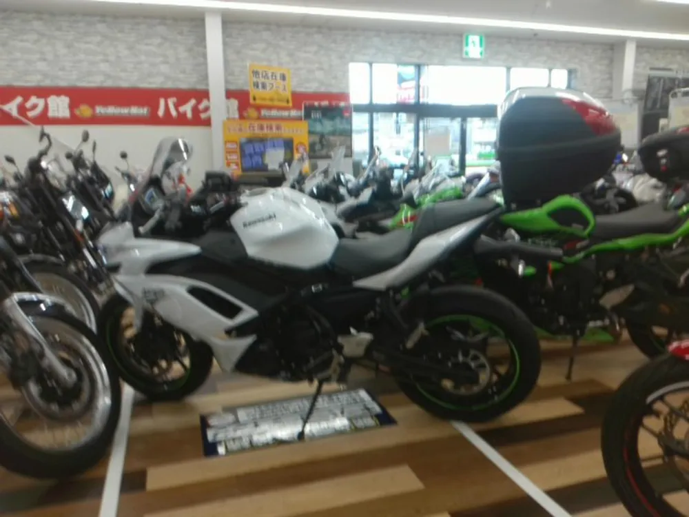 Kawasaki Ninja650A 2020, белый, фото 2