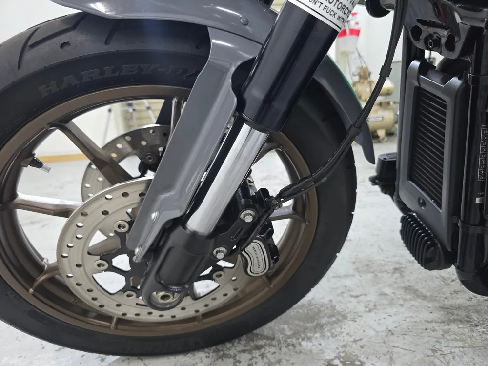 Harley-Davidson FXLRST 2022, серый, фото 11