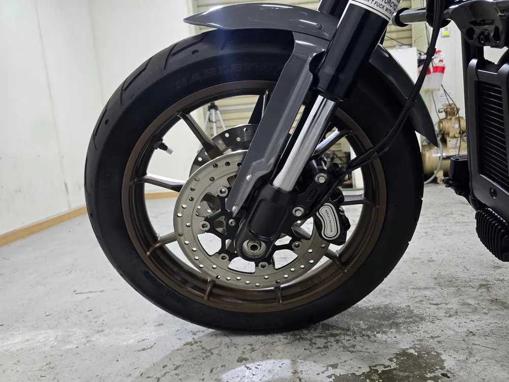 Harley-Davidson FXLRST 2022, серый, фото 12