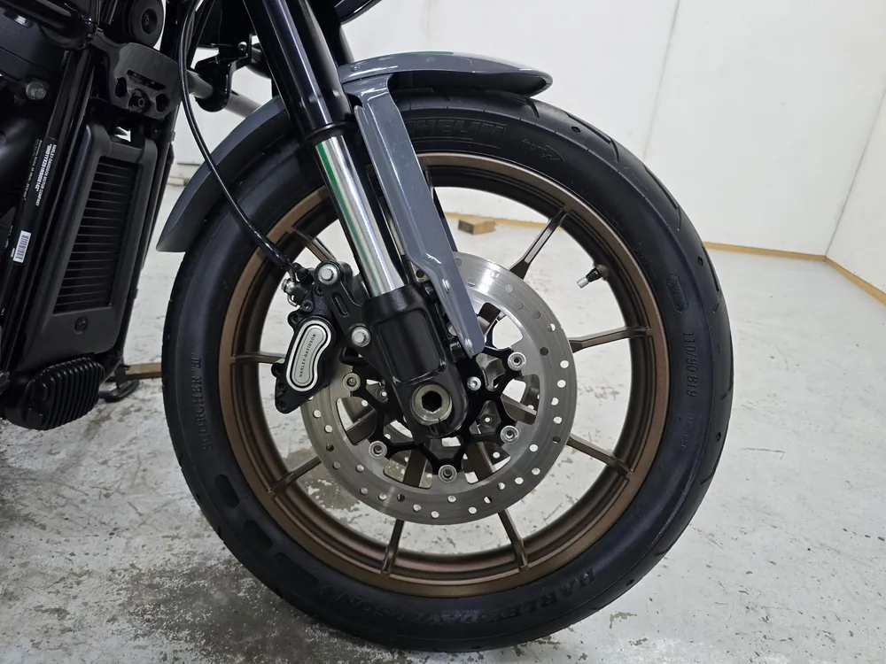 Harley-Davidson FXLRST 2022, серый, фото 9