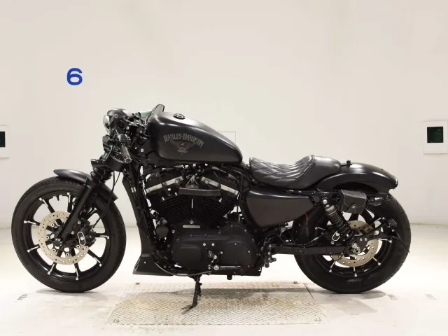 Harley-Davidson XL883N 2016, чёрный, фото 2