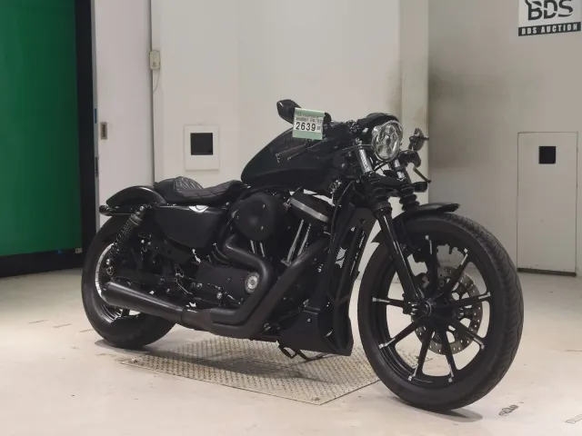 Harley-Davidson XL883N 2016, чёрный, фото 3