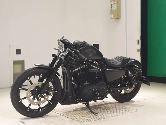 Harley-Davidson XL883N 2016, чёрный, фото 4