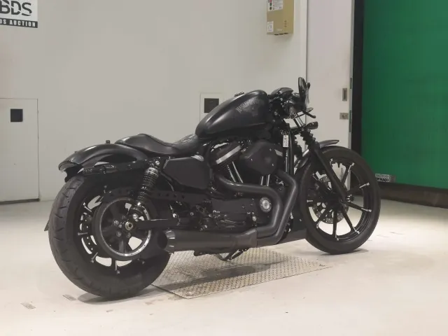 Harley-Davidson XL883N 2016, чёрный, фото 5