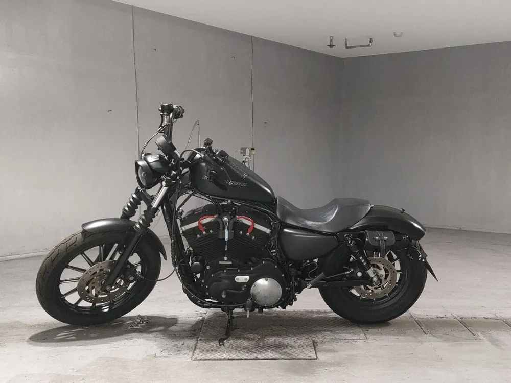 Harley-Davidson XL883N 2011, чёрный, фото 2