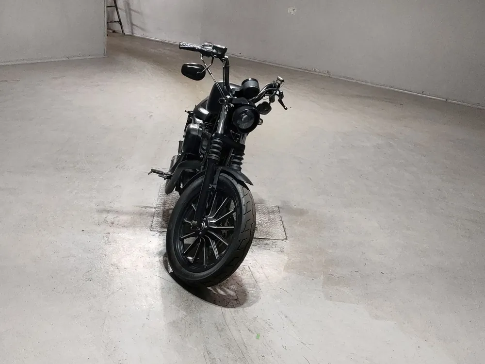 Harley-Davidson XL883N 2011, чёрный, фото 3