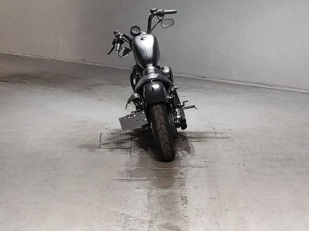 Harley-Davidson XL883N 2011, чёрный, фото 4