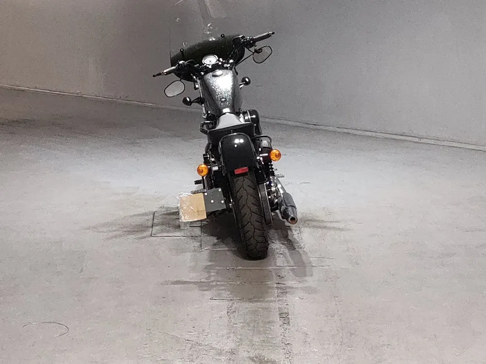 Harley-Davidson XL1200X 2015, серый, фото 4