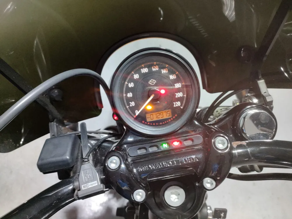 Harley-Davidson XL1200X 2015, серый, фото 5