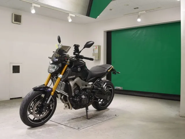 Yamaha MT-09 2015, фиолетовый, фото 4
