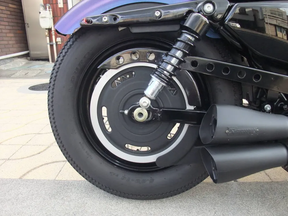 Harley-Davidson XL1200N 2010, фото 2