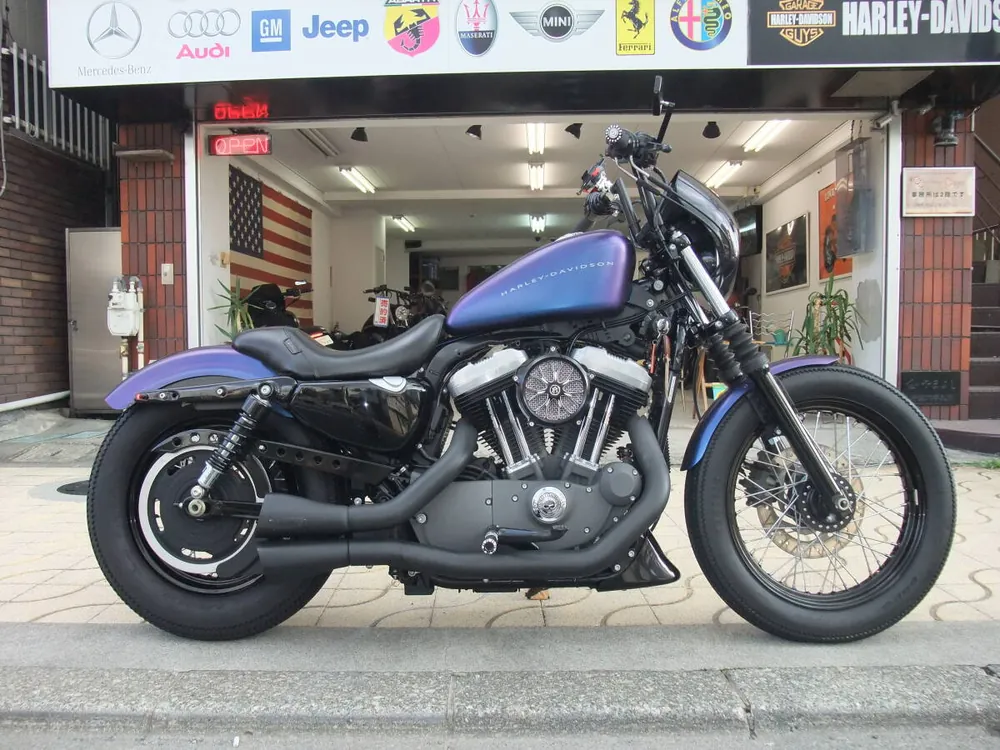Harley-Davidson XL1200N 2010, фото 3
