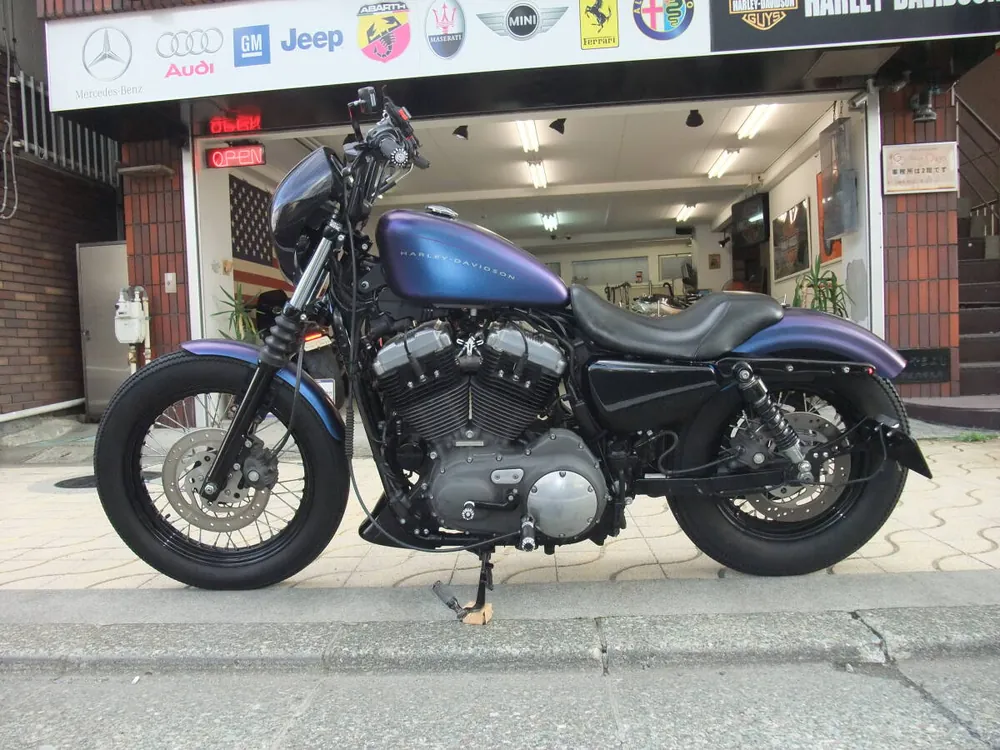 Harley-Davidson XL1200N 2010, фото 4