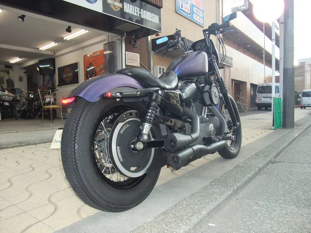 Harley-Davidson XL1200N 2010, фото 5