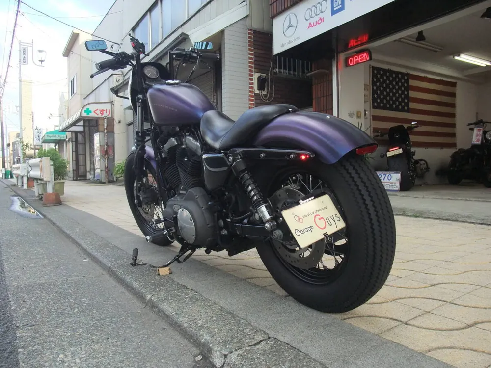 Harley-Davidson XL1200N 2010, фото 6