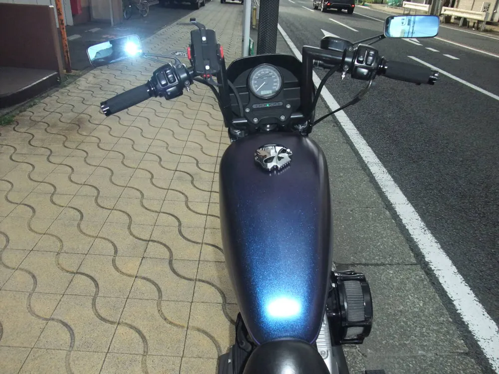 Harley-Davidson XL1200N 2010, фото 7