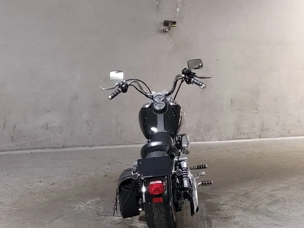 Harley-Davidson FXDL Dyna Low Rider 2001, чёрный, фото 4