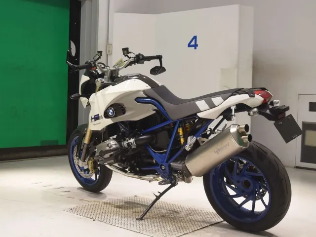 BMW HP2 Megamoto 2008, белый, фото 6