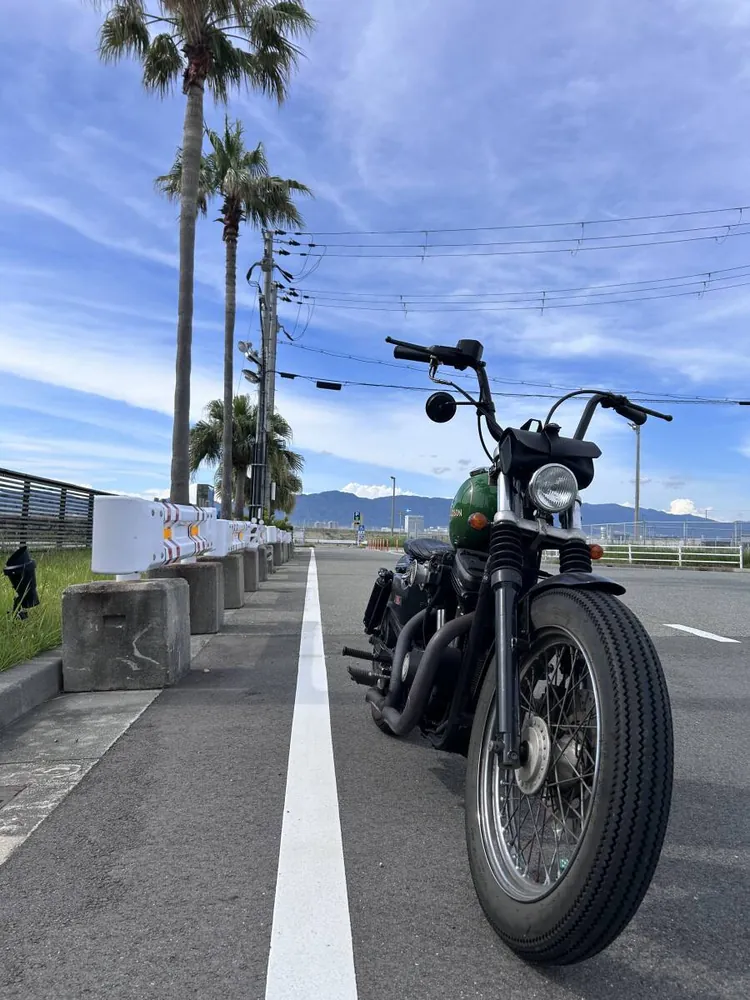 Harley-Davidson XLH1200 из Японии, фото 4