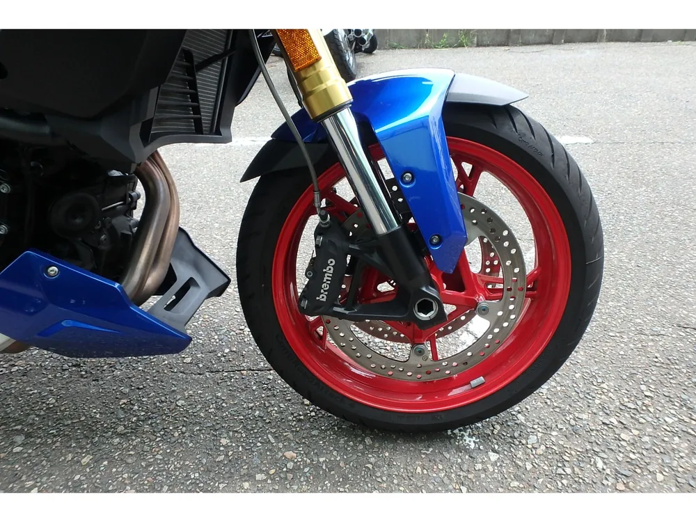 BMW F900XR STANDARD 2026, белый, синий, фото 4
