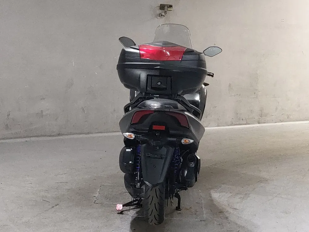Yamaha Tori City 300 2023, серый, фото 4