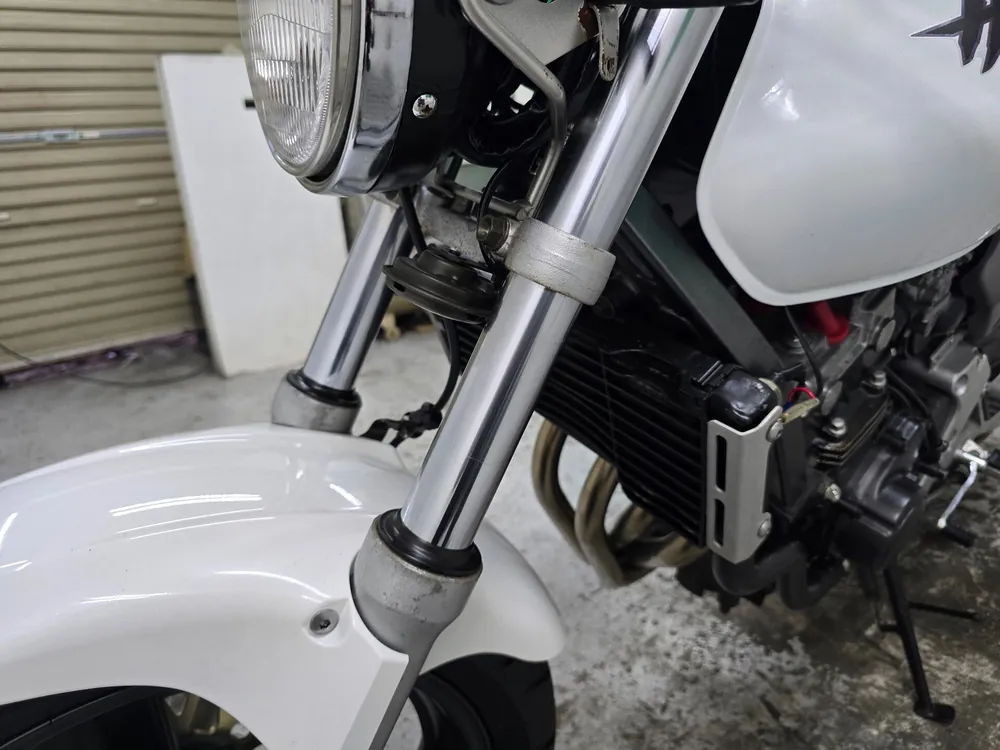 Honda Hornet 250, p white, фото 8