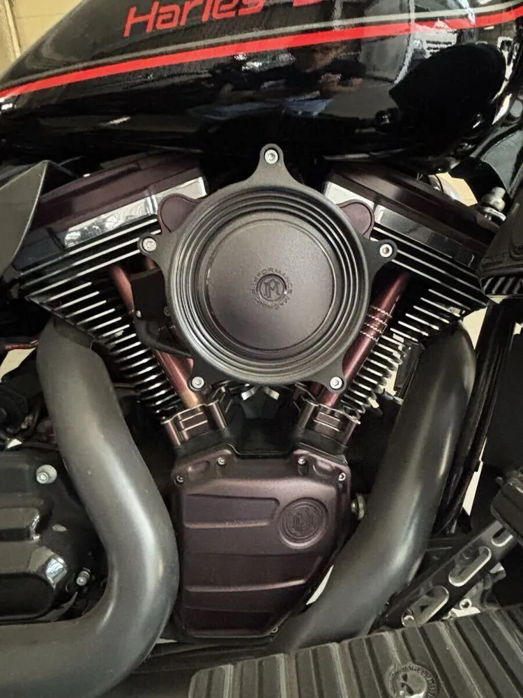 Harley-Davidson FLHXS Street Glide 2015, фото 9