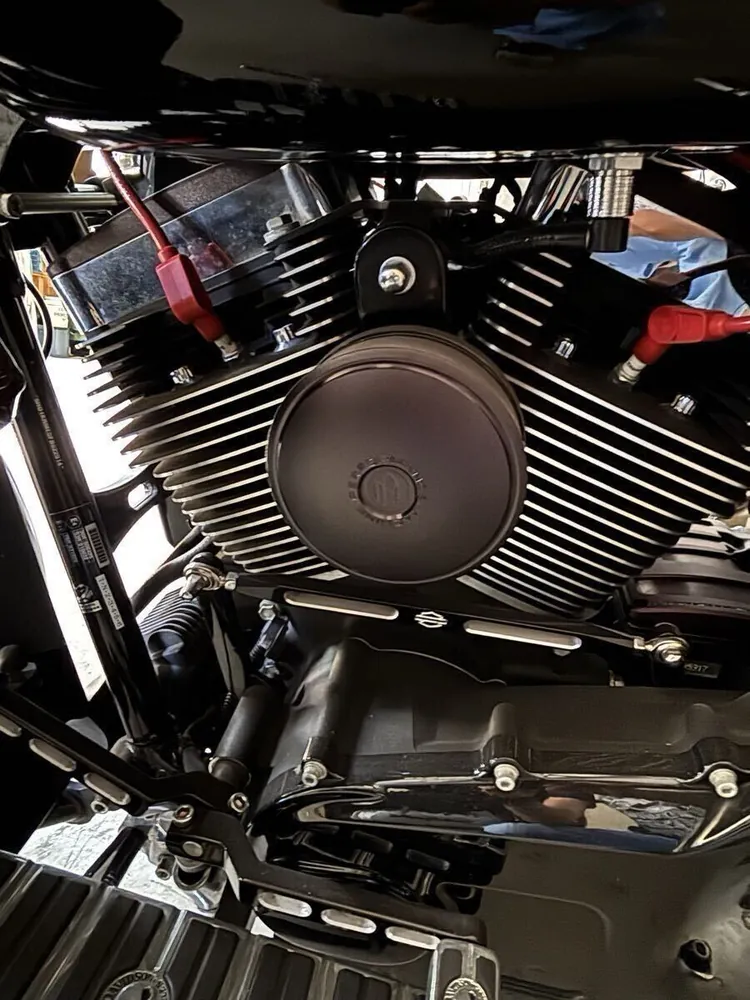 Harley-Davidson FLHXS Street Glide 2015, фото 2