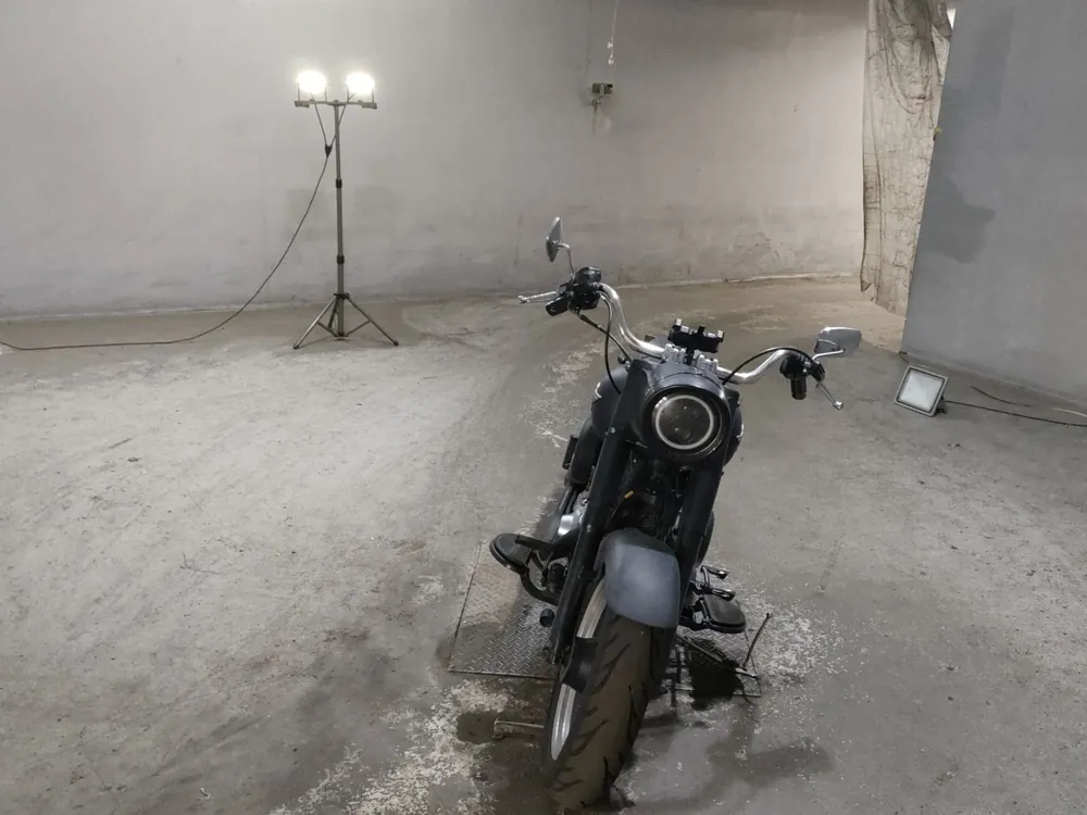 Harley-Davidson FLSTFB1580 2011, чёрный, фото 3