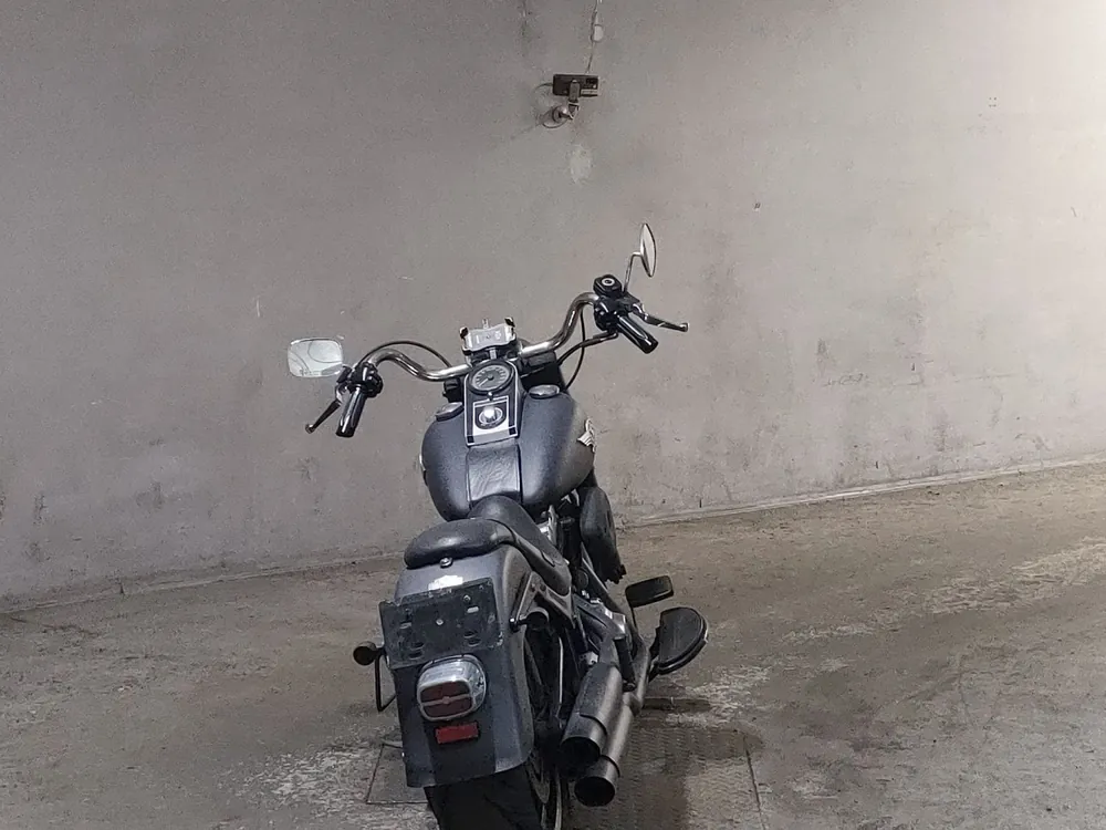 Harley-Davidson FLSTFB1580 2011, чёрный, фото 4