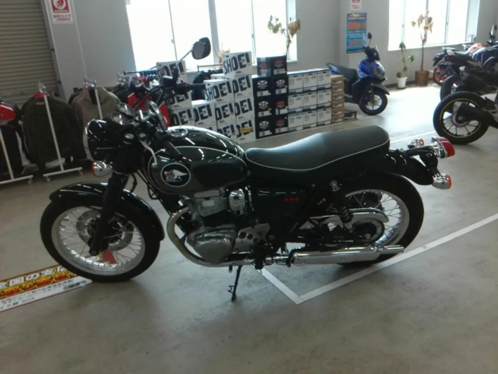 Kawasaki W800-2 2021, black/silver, фото 2