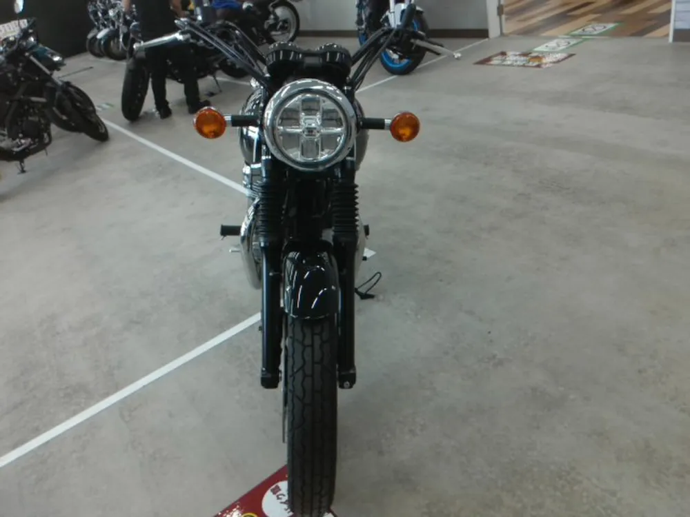Kawasaki W800-2 2021, black/silver, фото 4