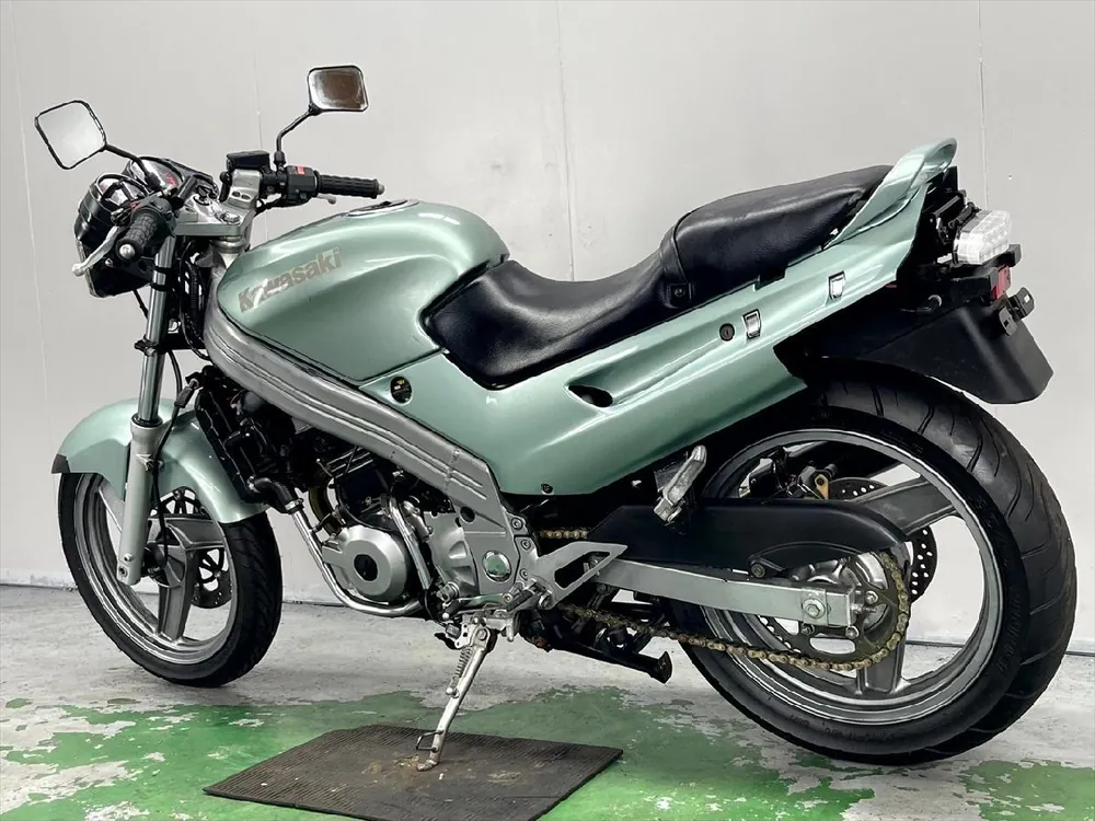 Kawasaki ZZ-R250 1998, фото 8