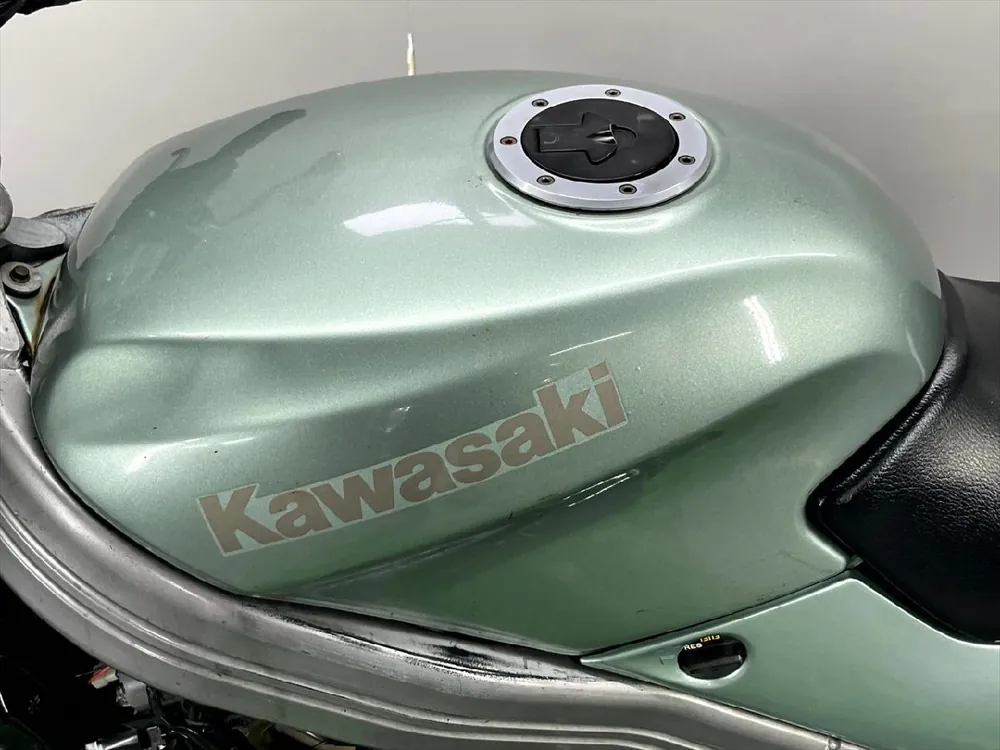 Kawasaki ZZ-R250 1998, фото 9
