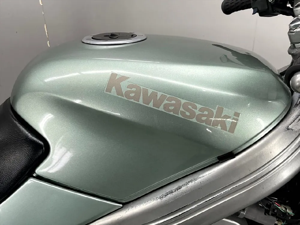 Kawasaki ZZ-R250 1998, фото 5