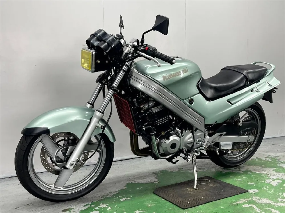 Kawasaki ZZ-R250 1998, фото 7