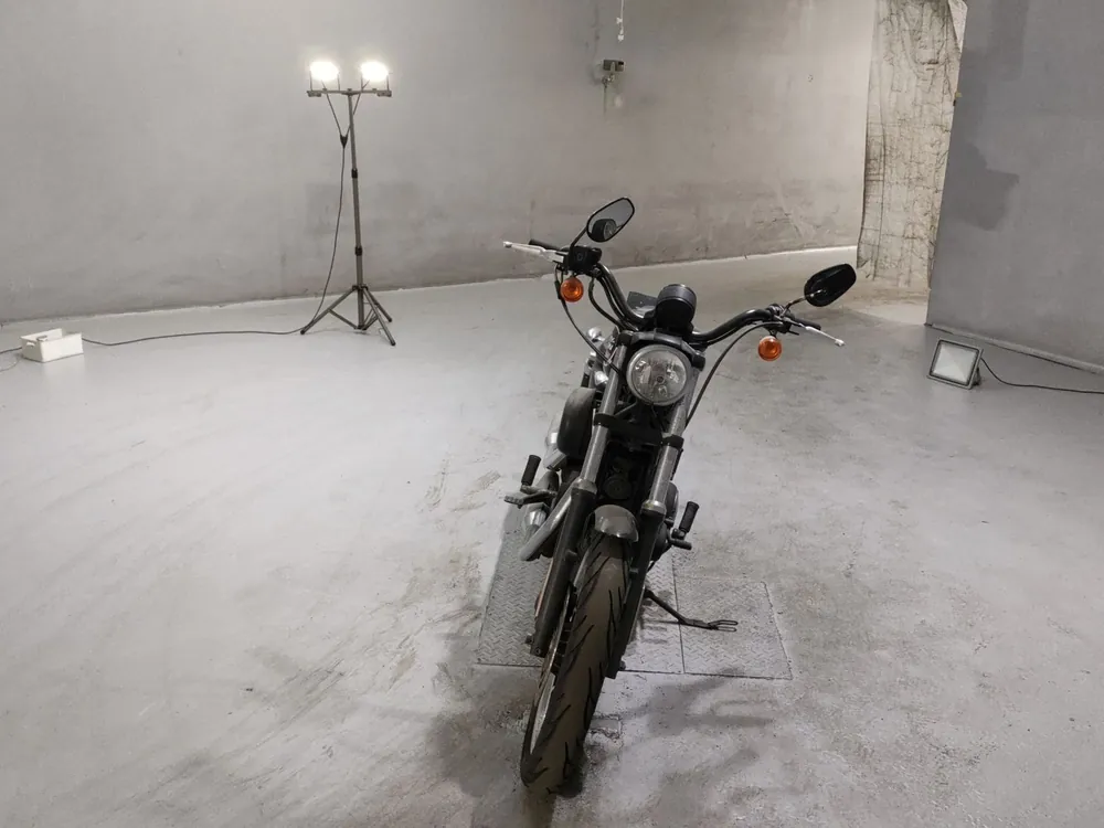 Harley-Davidson XL883R 2013, чёрный, фото 3