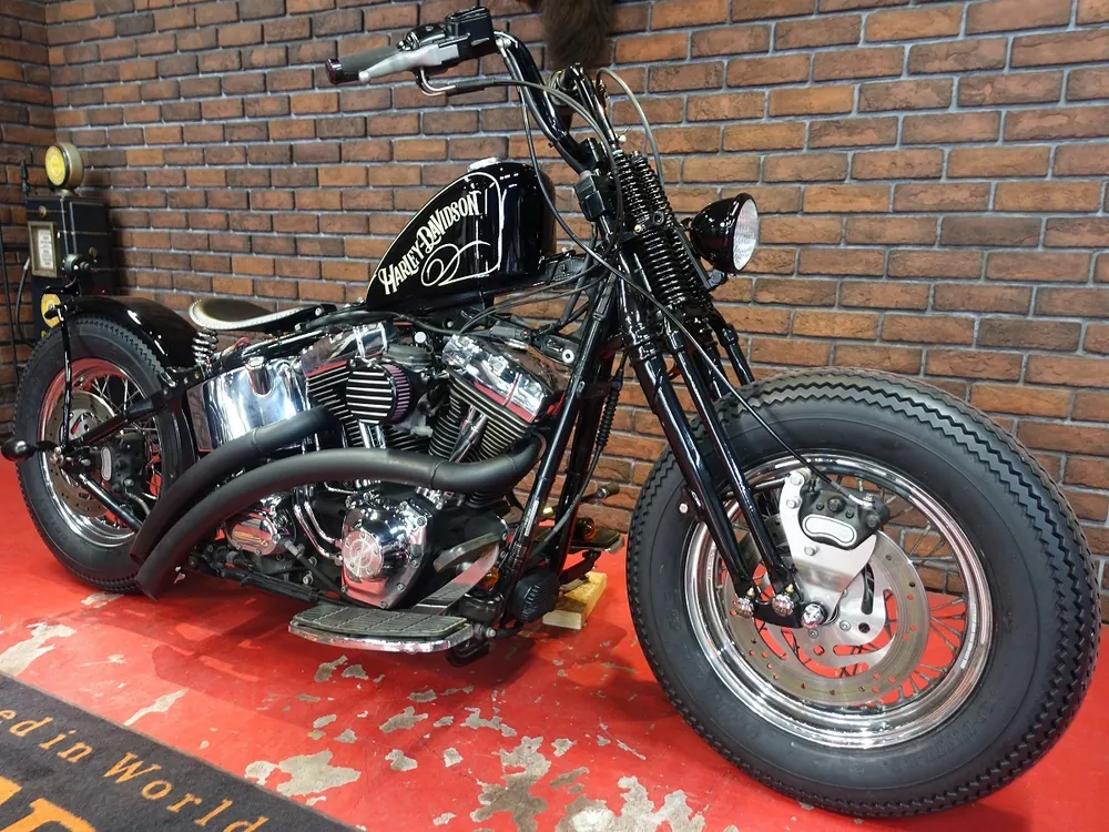 Harley-Davidson FLSTC 2002, фото 4