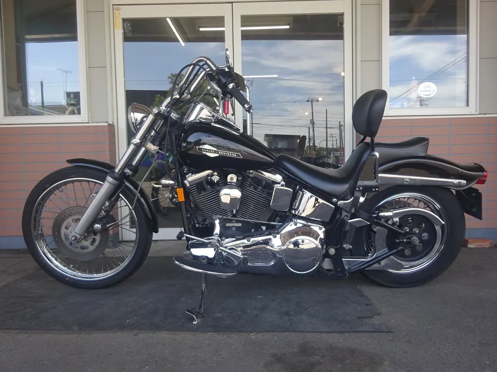Harley-Davidson FLSTN Heritage Softail Special 1996, чёрный, фото 3