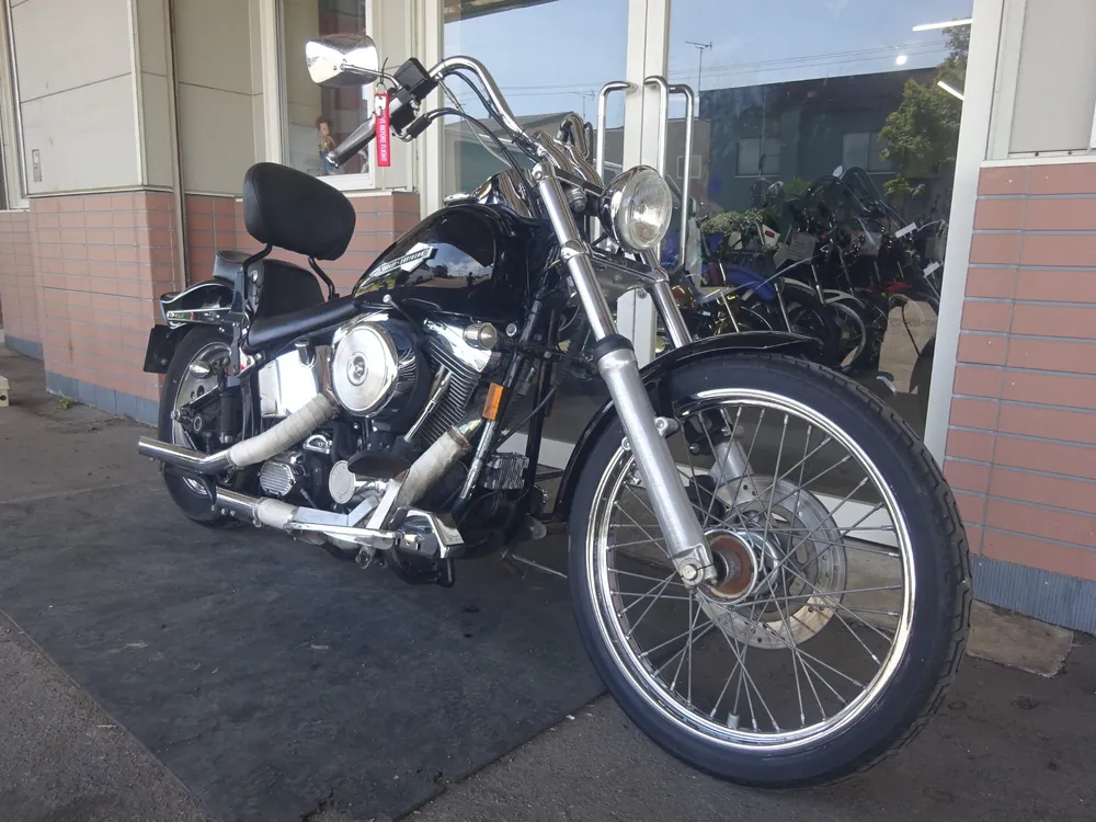 Harley-Davidson FLSTN Heritage Softail Special 1996, чёрный, фото 4