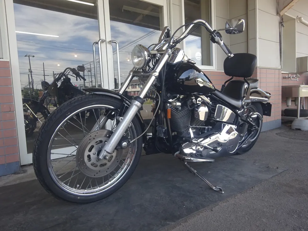 Harley-Davidson FLSTN Heritage Softail Special 1996, чёрный, фото 5