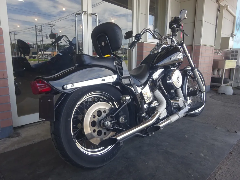 Harley-Davidson FLSTN Heritage Softail Special 1996, чёрный, фото 8