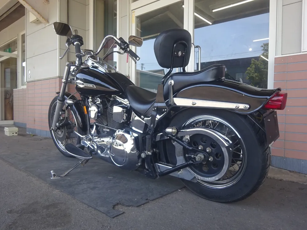 Harley-Davidson FLSTN Heritage Softail Special 1996, чёрный, фото 9