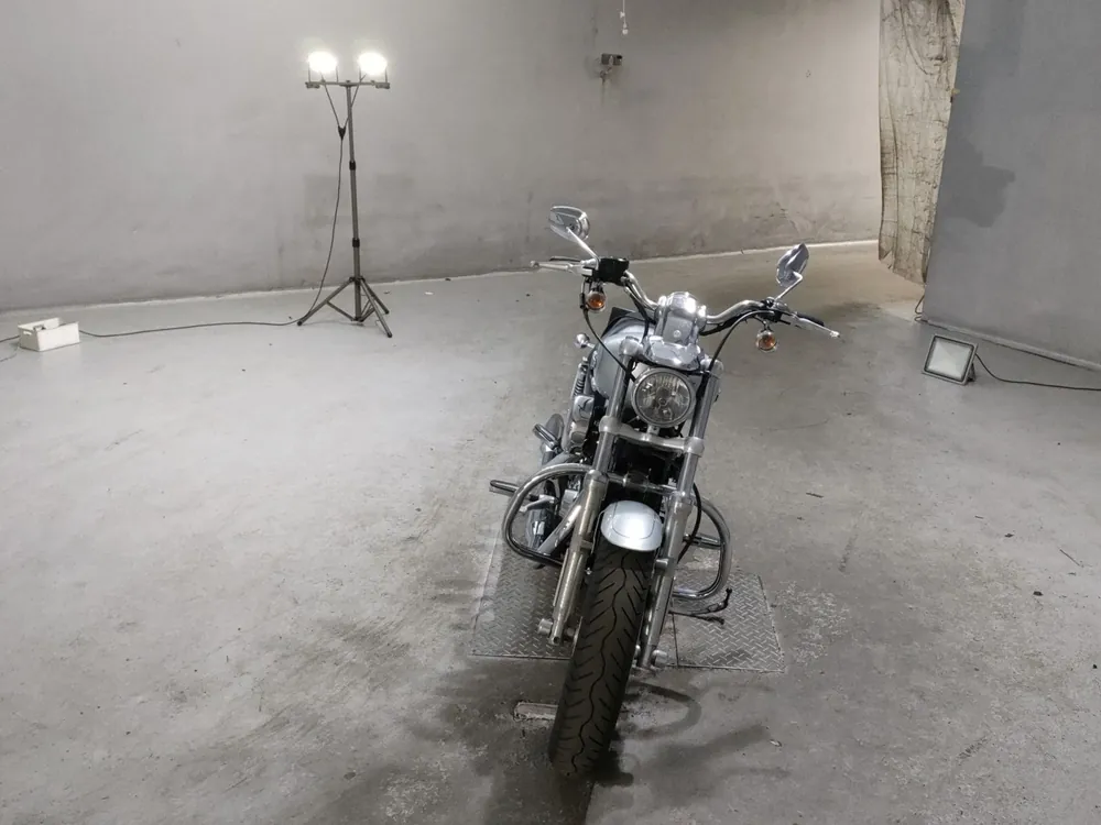 Harley-Davidson XL1200C 2011, серый, фото 3