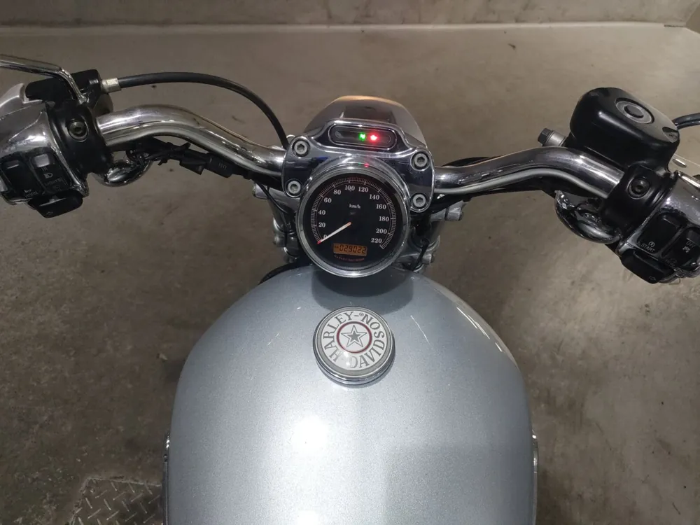 Harley-Davidson XL1200C 2011, серый, фото 5