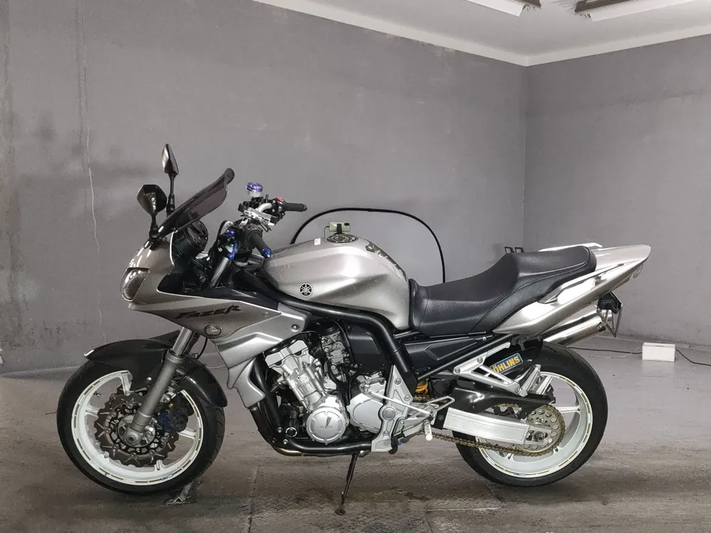 Yamaha FZS1000 2003, серебристый, фото 2