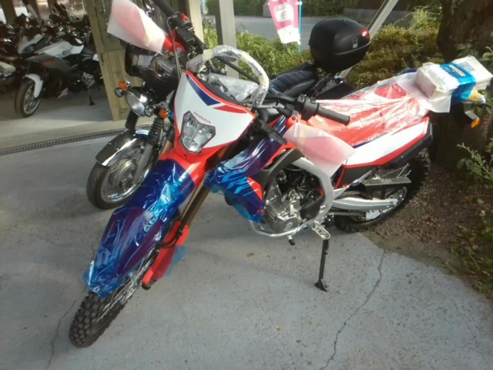 Honda CRF250 Rally, красный, фото 2