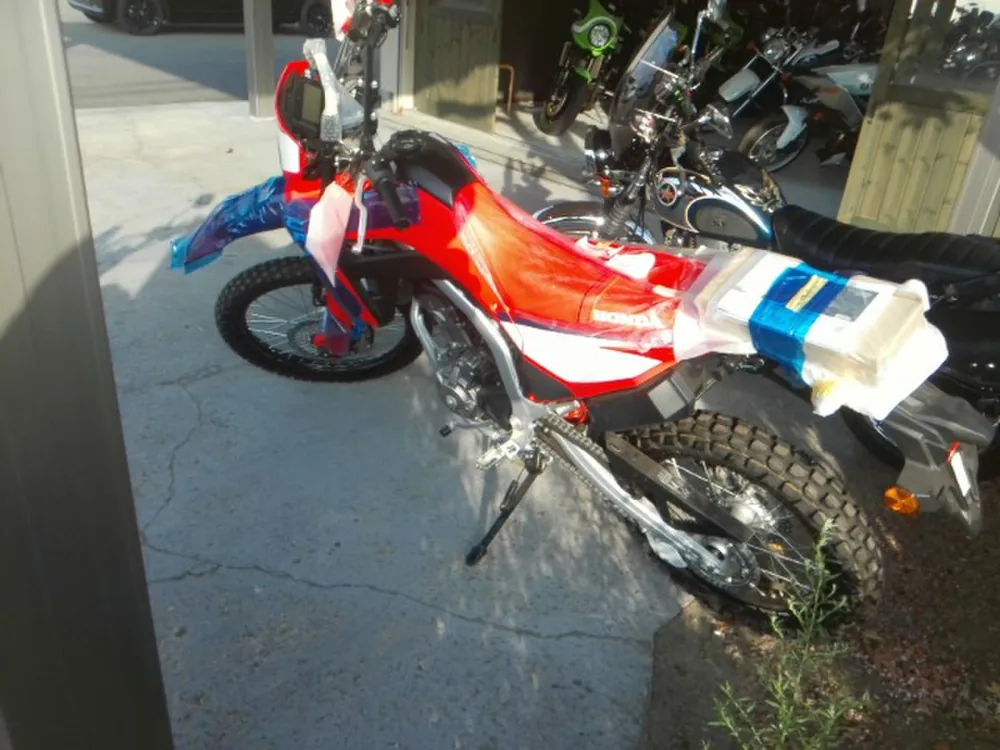 Honda CRF250 Rally, красный, фото 4