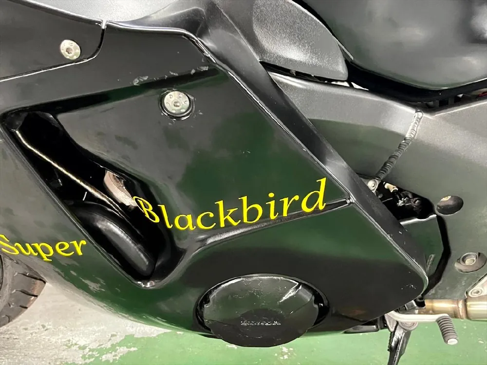 Honda CBR1100XX 1998, фото 10